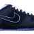 Nike SB Dunk Low Concepts Blue Lobster